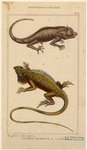 Image ID 815233