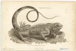 Image ID 815234