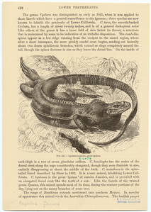 Image ID 815235