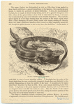 Image ID 815235