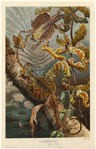 Image ID 815239