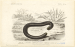 Image ID 815240