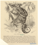 Image ID 815241
