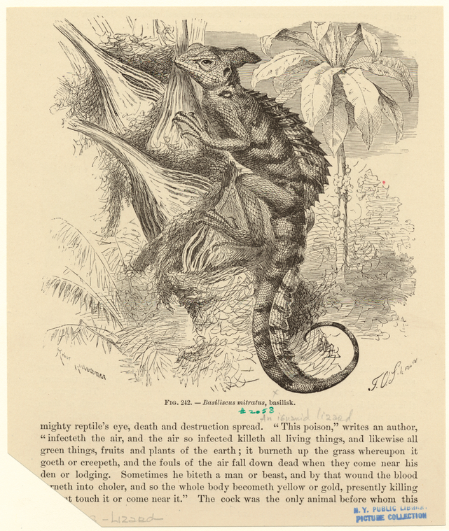 Image ID 815241
