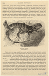Image ID 815242