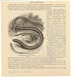 Image ID 815244