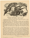 Image ID 815245