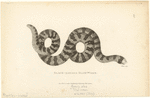 Image ID 815247