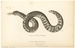 Image ID 815253