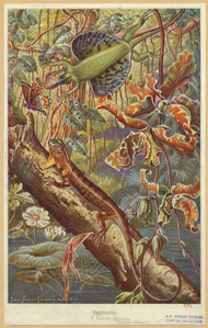 Image ID 815254