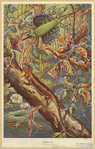 Image ID 815254