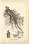 Image ID 815255
