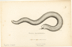 Image ID 815256