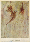 Image ID 815258