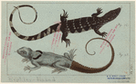 Image ID 815261