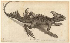 Image ID 815262