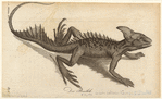 Image ID 815262