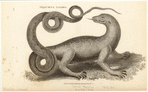 Image ID 815264