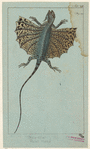 Image ID 815266
