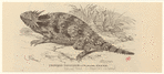 Image ID 815268