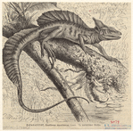 Image ID 815275