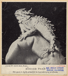 Image ID 815276