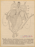 Image ID 815277