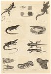 Image ID 815283