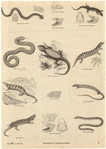 Image ID 815285