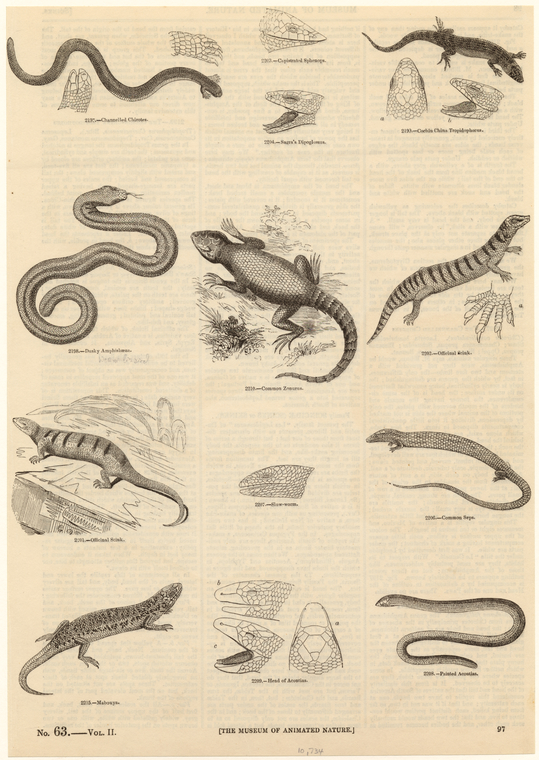 Image ID 815285
