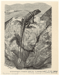Image ID 815286