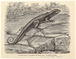 Image ID 815291