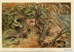 Image ID 815293