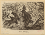 Image ID 815295
