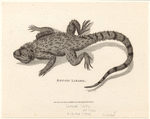 Image ID 815298