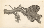 Image ID 815299