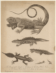 Image ID 815303
