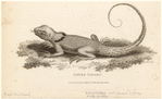 Image ID 815306