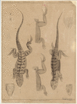 Image ID 815310