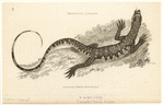 Image ID 815313