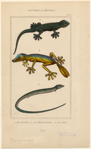 Image ID 815317