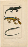 Image ID 815317