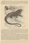 Image ID 815320