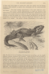 Image ID 815321