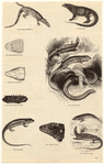 Image ID 815322