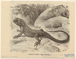 Image ID 815325