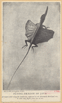 Image ID 815326
