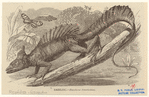 Image ID 815327