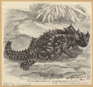 Image ID 815331