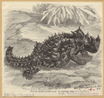 Image ID 815331